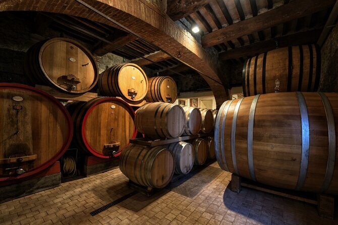 1-Hour Experience with Brunello. Visit to the Vineyard and Cellar - The tastings: what you’ll drink, and what to expect with bread and sausage