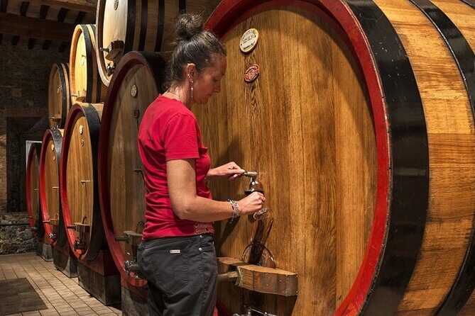 1-Hour Experience with Brunello. Visit to the Vineyard and Cellar - Price and value: is $42.06 for an hour worth it?