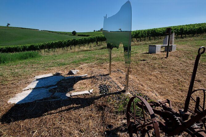 1-Hour Experience with Brunello. Visit to the Vineyard and Cellar - Sangiovese BIO vineyards and art installations: why the visuals aren’t just decoration
