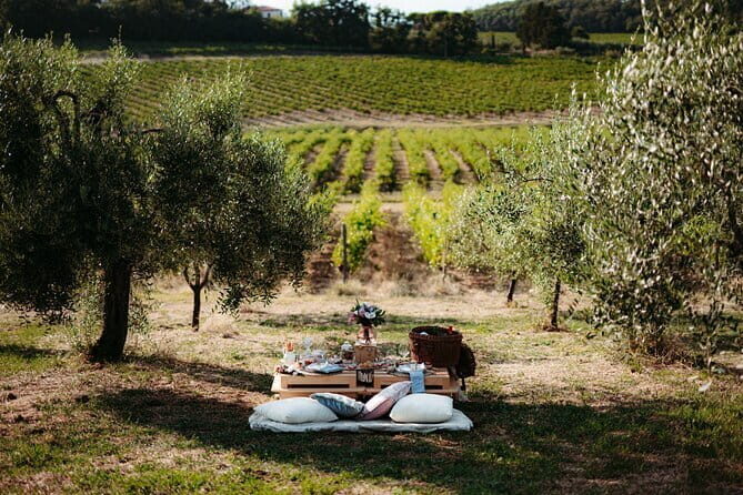 1-Hour Guided Tuscan Wine Tasting in Florence - The Sommelier Experience: Small Group, Real-Time Guidance