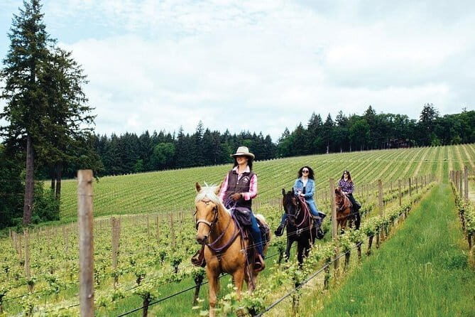 1-Hour Guided Tuscan Wine Tasting in Florence - Practical Tips for Your 5pm Booking