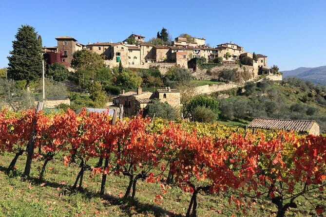 2 wineries Chianti Wine Tasting & Vineyards Walk Private Tour - What you actually eat and taste: wines with cheeses and cold cuts