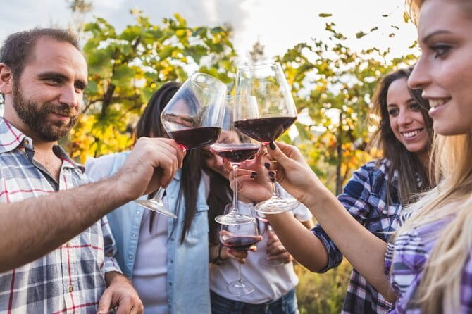 2 wineries Chianti Wine Tasting & Vineyards Walk Private Tour - Should you book this Chianti wine tasting tour?