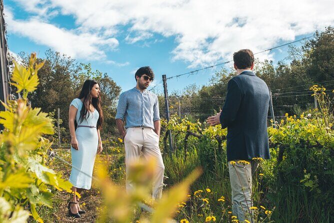 3-day private experience as a winemaker at a wine resort in Tuscany - Podere Montale: An ancient village base in Val d’Orcia