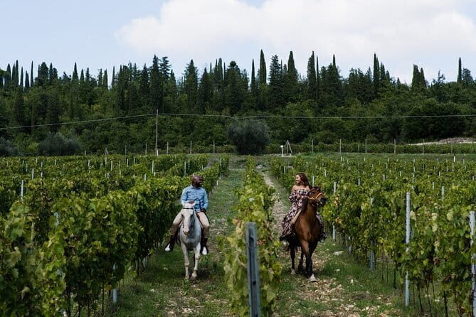 4 WINES TASTING in a Chianti Classico Farm (Visit/tour at the winery included) - Optional Short Vineyard Walk: When to Take It