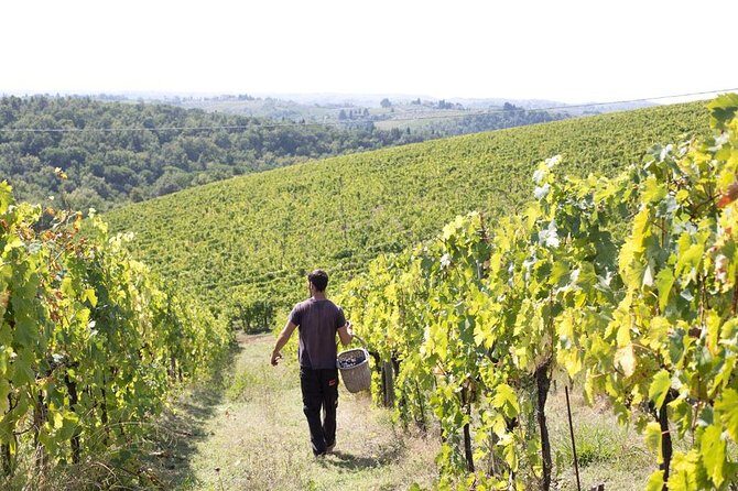 4 Wines Tasting with 2 Tuscan Cheeses & Tour at the winery - What’s in the 4-wine lineup (and why it’s a smart way to taste Chianti)