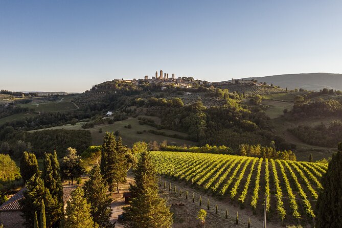 5 Wine Tastings in San Gimignano - A quick way to feel the Tuscan hills from San Gimignano