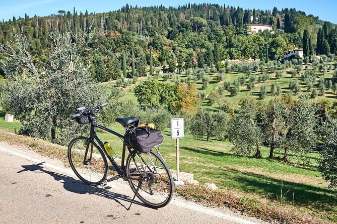 Active Full Day Tuscan Bike Tour With Wine Tasting and Lunch - 7 hours of real riding: bikes, hills, and your e-bike choice