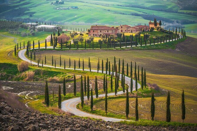 All Tuscany Private Siena San Gimignano & Chianti Livorno Shore Excursion - Should You Book This Tuscany Private Siena San Gimignano & Chianti Tour?
