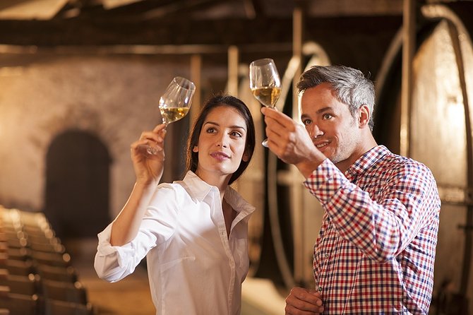 Bella Toscana Private Tour: 2 Chianti Wineries and San Gimignano From Livorno - The driver/guide makes or breaks the day (and this one has an edge)