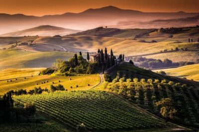 Bella Toscana Private Tour: 2 Chianti Wineries and San Gimignano From Livorno - San Gimignano in about an hour: how to make it count