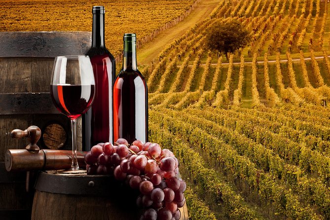 Bella Toscana Private Tour: 2 Chianti Wineries and San Gimignano From Livorno - Price and value: what $445.59 per person really means