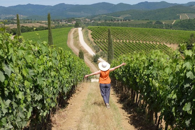 Bella Toscana Private Tour: 2 Chianti Wineries and San Gimignano From Livorno - Should you book Bella Toscana from Livorno?