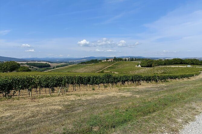 Brunello E-Bike Tour - What the E-Bike Does for You (and What It Doesn’t)
