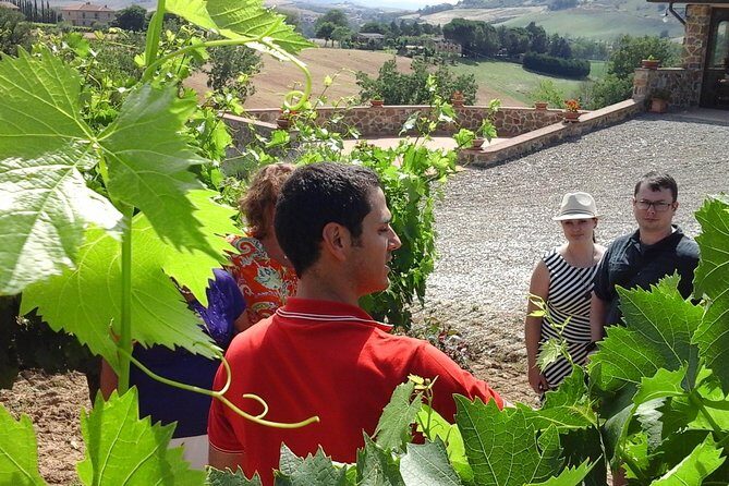 Brunello Vineyards Bus Tour - Stop 2: a second winery with a different feel