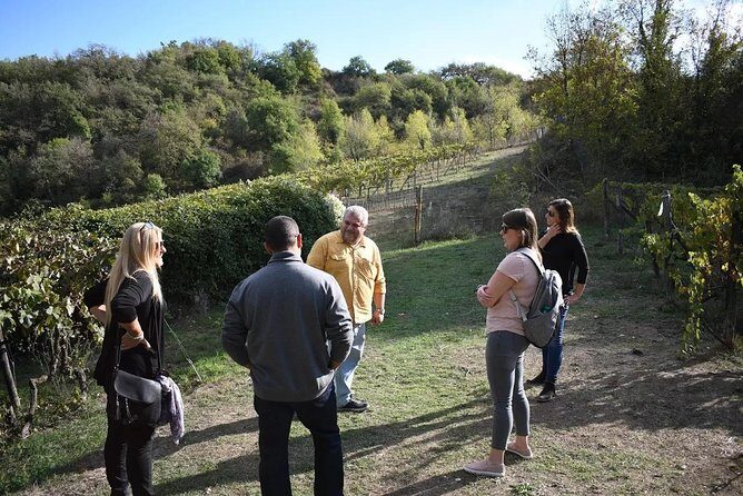 Brunello Vineyards Bus Tour - Who this tour suits best in Chianti