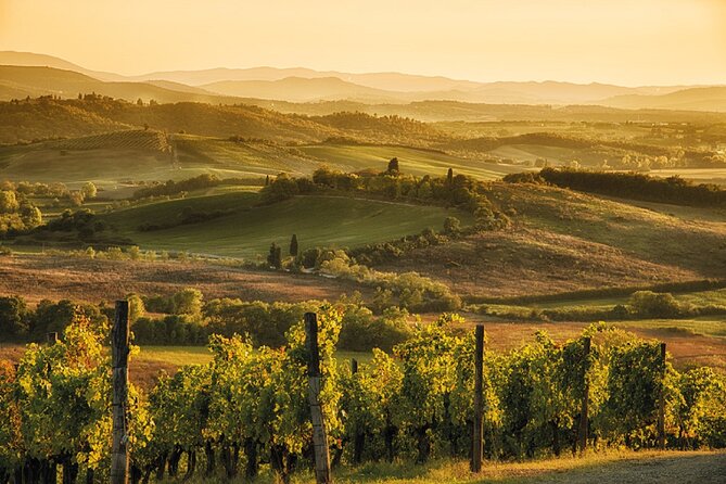 Brunello Wine Tasting from San Gimignano - Montalcino Town Time: How to Use Your Free Hours