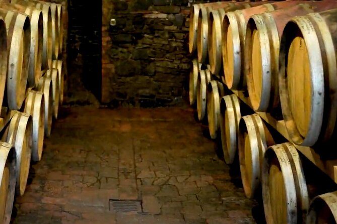 Brunello Wine Tasting from San Gimignano - Who This Tour Fits Best