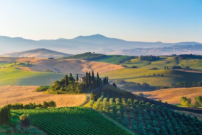 Brunello Wine Tasting from San Gimignano - Getting There: Pickup, Group Size, and Pace