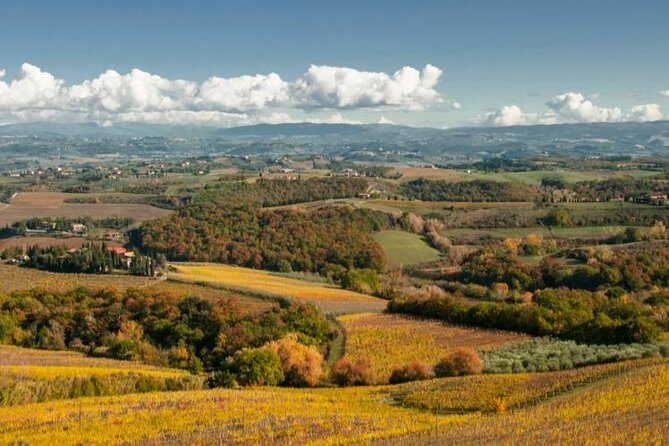 Cesani Wine Experience - The Cesani host and the English experience