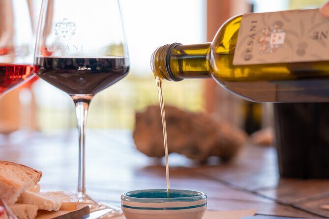Cesani Wine Experience - Duration and pace: what 1 hour 30 minutes really gives you