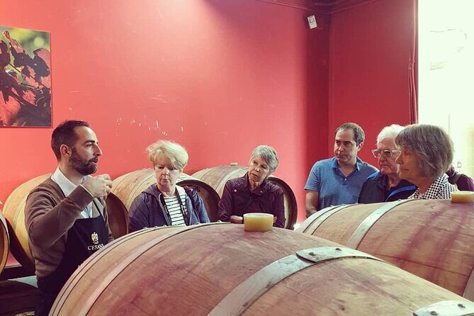 Cesani Wine Experience - Who should book Cesani Wine Experience (and who might pass)