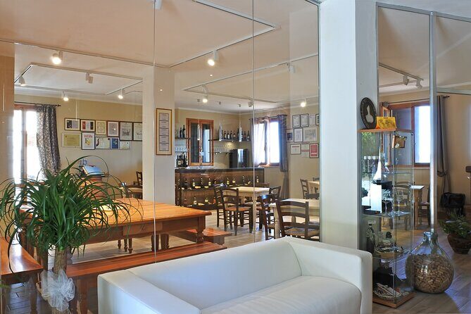 Cesani Wine Experience - The cellar tour: modern production with organic grapes