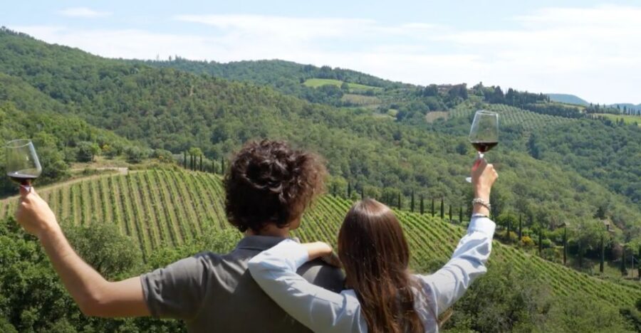 Chianti and Castles Tour From San Gimignano - Should you book the Chianti and Castles Tour from San Gimignano?