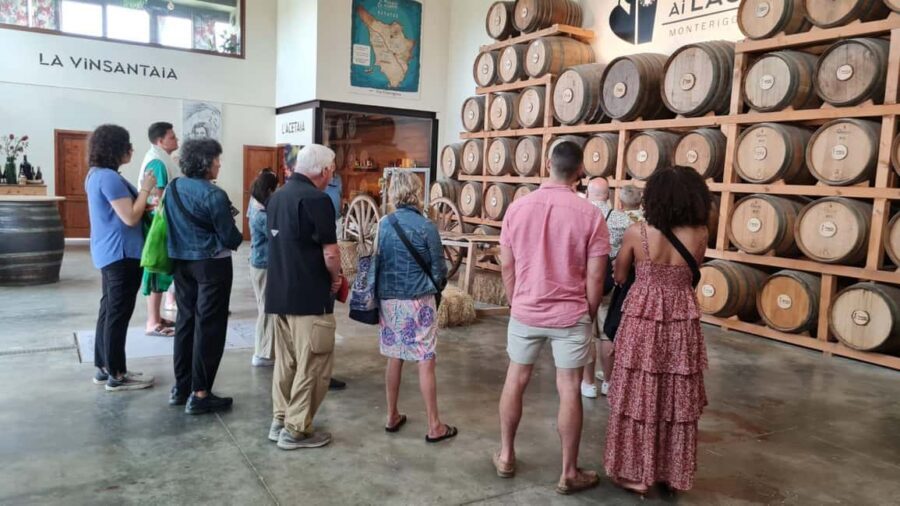 Chianti and Castles Tour From San Gimignano - Wine Estate Cellars: two tastings, one exclusive visit, real cellar time