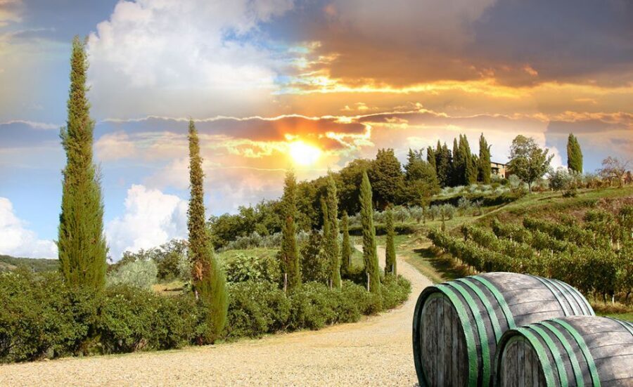 Chianti and Castles Tour From San Gimignano - Monteriggioni: castle walls and a time-boxed photo stop