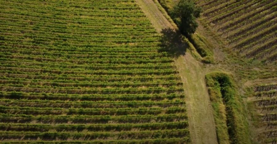 Chianti and Castles Tour From San Gimignano - How the six hours flow: scenic driving, short breaks, and one trade-off