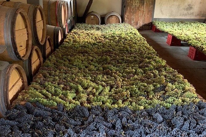 Chianti and San Gimignano - 2 Wineries with Pairing Lunch - Why This Chianti Tour Works Without a Rental Car