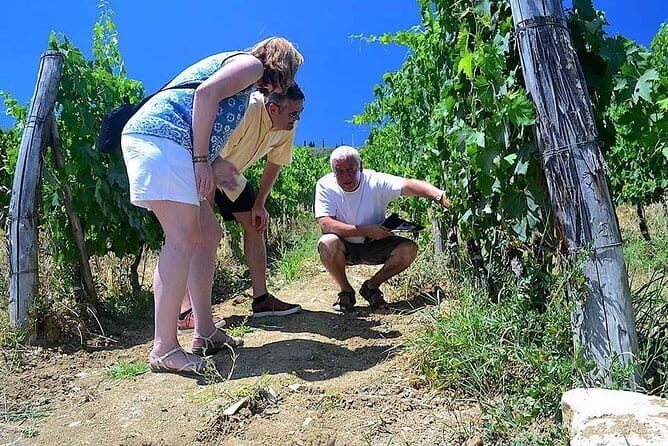 Chianti Classico and Super Tuscan 3 Winery Tour - Key highlights worth your attention