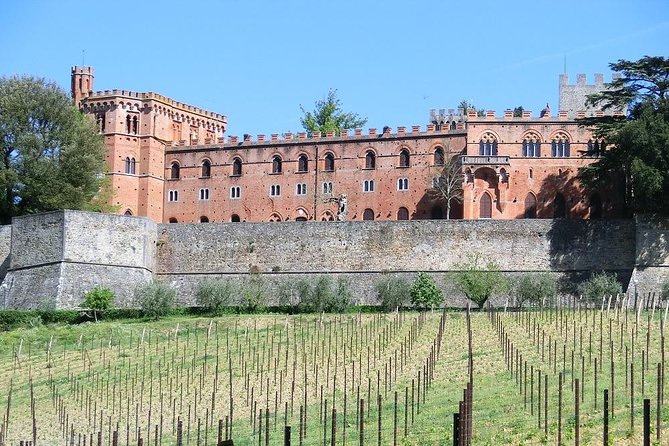 Chianti Classico E-Bike Tour - Starting point, meeting time, and what a 5–6 hour day feels like