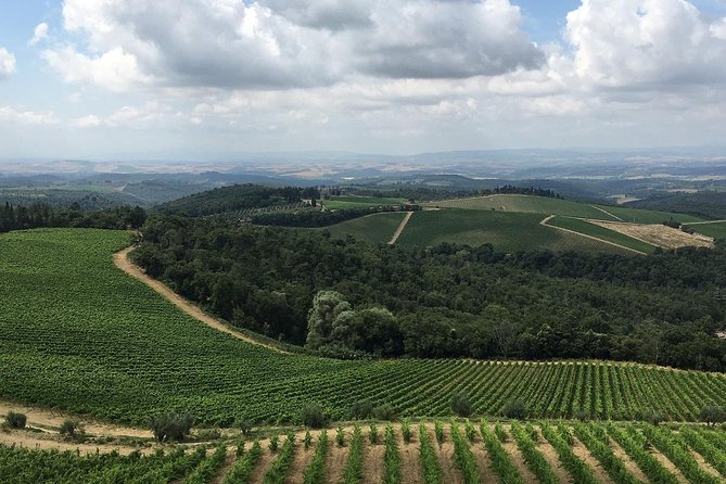 Chianti Classico E-Bike Tour - Villa a Sesta ride-through: classic Chianti without stopping the clock