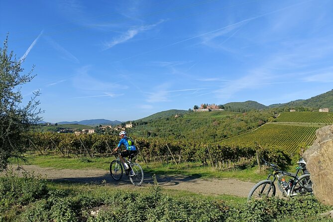 Chianti Classico E-Bike Tour - Wine tasting and lunch: what’s included and how to get the most from it