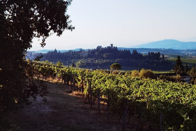Chianti Classico E-bike Tour - Fitness, age, and road comfort: who this suits