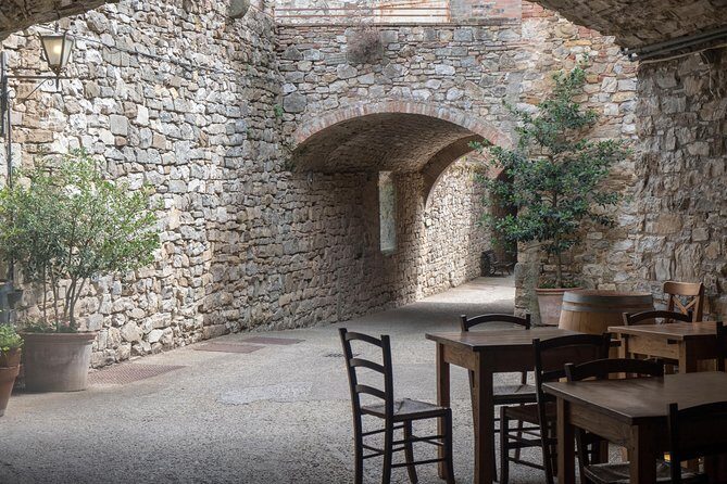 Chianti Classico, Montalcino, Montepulciano by minivan: Wine Tastings & Lunch - From Chianti Roads to Castellina: Cellars, Vin Santo, and Olive Oil Pairings