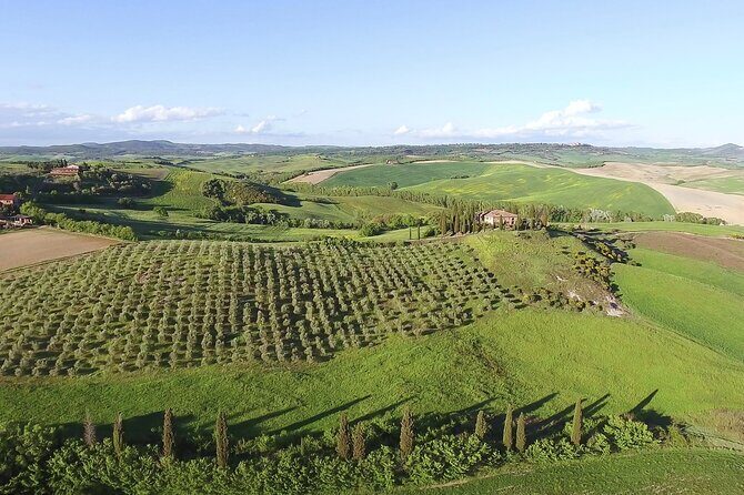Chianti Classico, Montalcino, Montepulciano by minivan: Wine Tastings & Lunch - Montalcino Farmhouse Lunch-Tasting: Brunello, Rosso, Supertuscan, and Real Food