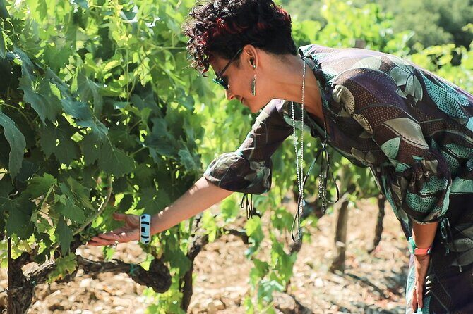 Chianti Classico, Montalcino, Montepulciano by minivan: Wine Tastings & Lunch - Montepulciano on a Hill: Renaissance Squares, Steep Streets, and a Wine-Cellar Finish