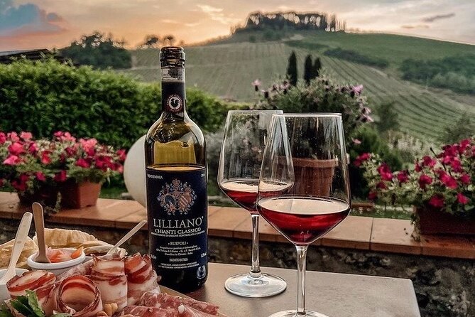 Chianti Classico wine Tour and Tasting - Dietary Restrictions and the No-Under-18 Rule