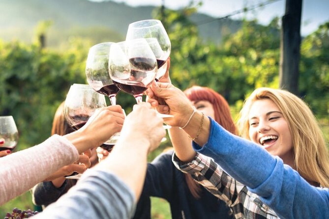 Chianti Classico wine Tour and Tasting - Four Wines, One Tasting Flight: The Labels You’ll Actually Taste
