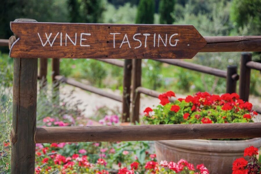Chianti Countryside Full-Day Tour by Vintage Fiat 500 - Who should book this Chianti Fiat tour