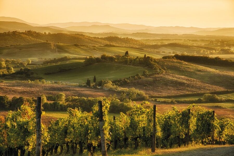 Chianti Countryside Full-Day Tour by Vintage Fiat 500 - Winery visit (Stop 4): where the scenery turns into a tasting