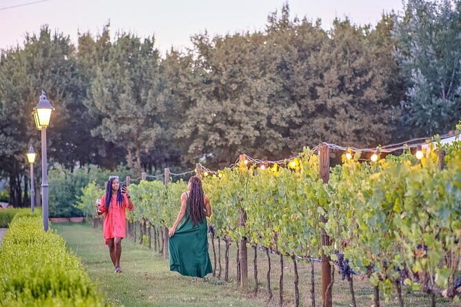 Chianti Delights: A Tale Of Two Wineries With A Vineyard Dinner - Key highlights worth clocking before you go