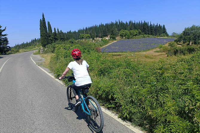 Chianti e-bike tour from Florence with wine tasting - The Chianti Classico winery and tasting: what’s included (and why it’s worth paying for)