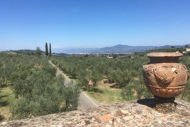 Chianti e-bike tour from Florence with wine tasting - Optional add-on: Badia a Passignano and Panzano in Chianti