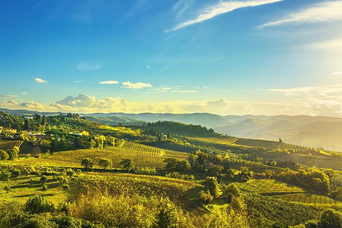 Chianti Experience Shore Excursion from Livorno Port - Price and value for a group up to 8
