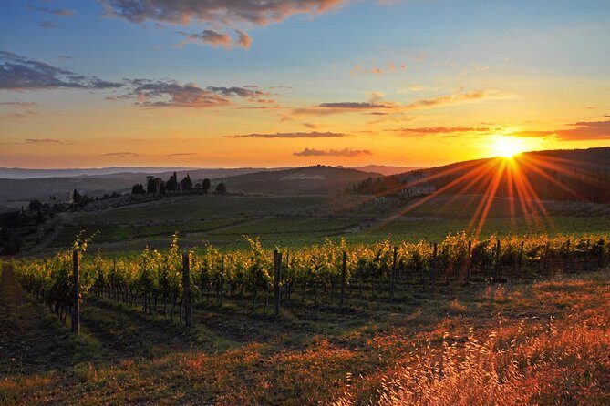 Chianti Half-day Wine Tour in the Tuscan's Hills from Pisa - What You’ll Really Get (And What You Might Want More Of)
