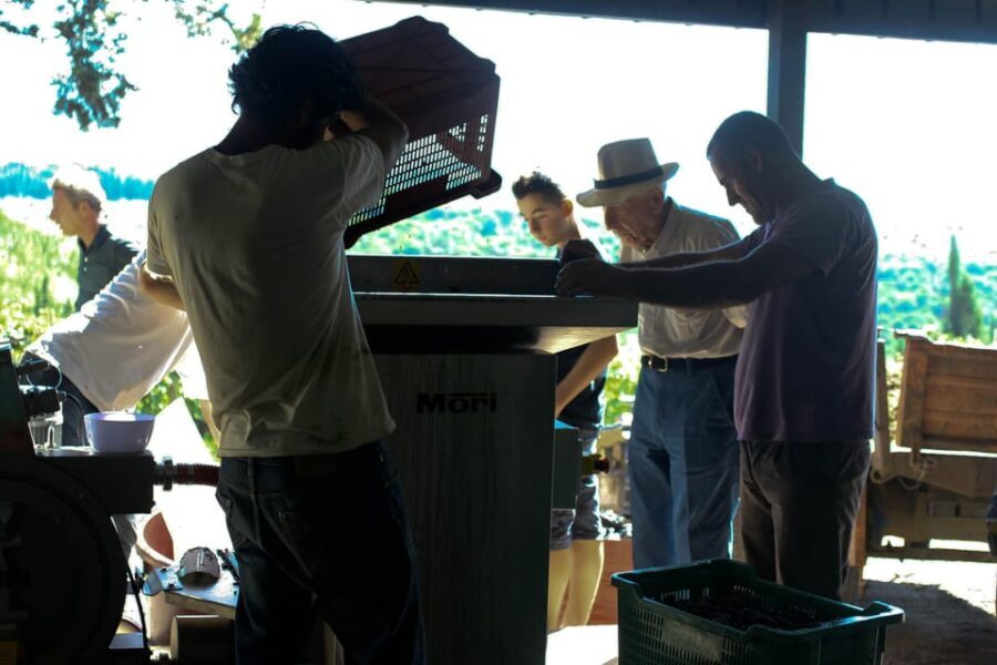 Chianti Organic wine tasting - Torcibrencoli in Santa Cristina: the organic Chianti experience that feels personal